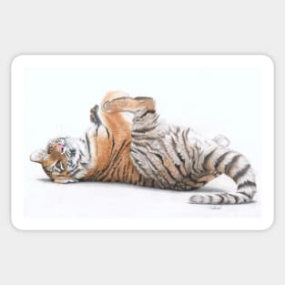 Tiger Feet Sticker